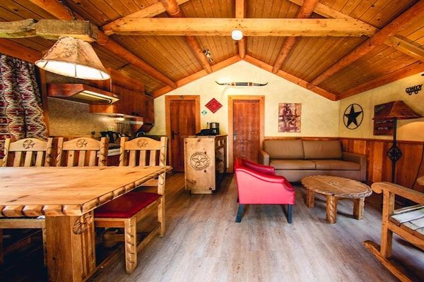 Woonkamer - Esthetisch houten huisje in Slagharen in Slagharen (2)
