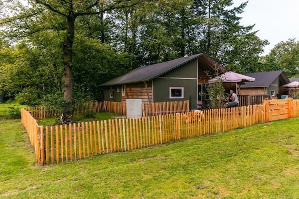 Untagged - 781388 in Drenthe (2)