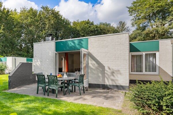 Terras - Bospaden en zwembad in de buurt in Borger (5)