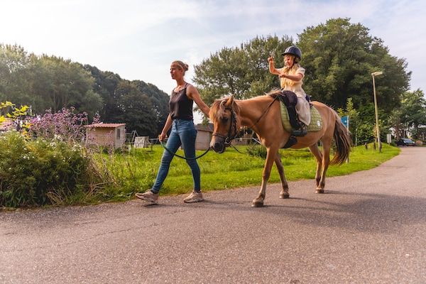 Park - Kindervilla voor 6 personen met tuin en speelruimte nabij het IJsselmeer in Andijk (5)