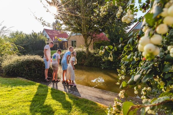 Park - Vrijstaande vakantiewoning voor 6 personen met tuin nabij het IJsselmeer in Andijk (4)